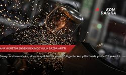 Sanayi üretim endeksi ekimde yıllık bazda arttı
