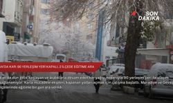 Van’da kar: 90 yerleşim yeri kapalı, 2 ilçede eğitime ara