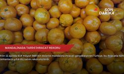 Mandalinada tarihi ihracat rekoru