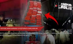 Koyunların karnına uyuşturucu sakladılar