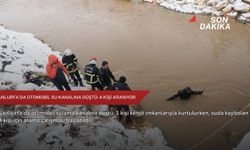 Şanlurfa'da otomobil su kanalına düştü: 4 kişi aranıyor