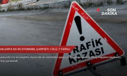 Şanlıurfa'da iki otomobil çarpıştı: 1 ölü, 7 yaralı