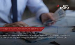 Türkiye'de geçen yıl aylık ortalama iş gücü maliyeti 45 bin 777 lira oldu