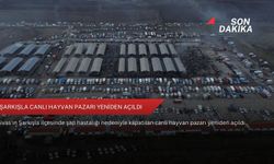 Şarkışla Canlı Hayvan Pazarı yeniden açıldı