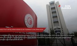 Haksız fiyat artışlarına neden olan taşınmaz ilanlarına ceza