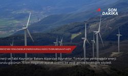 Türkiye’nin yenilenebilir enerji kurulu gücü 75 bin megavatı aştı