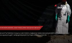 Harvard morg müdürü, ceset parçalarını 'süs eşyası' gibi sattı