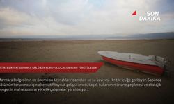 'Kritik' eşikteki Sapanca Gölü için koruyucu çalışmalar yürütülecek