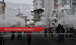 Bitlis'te eğitime kar engeli