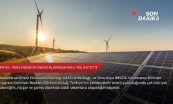 Türkiye, yenilenebilir enerji alanında hızlı yol katetti