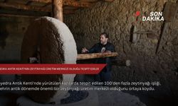 Syedra Antik Kenti'nin zeytinyağı üretim merkezi olduğu tespit edildi