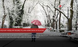 Bu kış kar yağışları geçmiş yıllara göre daha az olacak