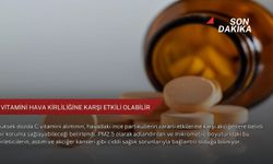 C vitamini hava kirliliğine karşı etkili olabilir