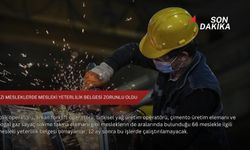 Bazı mesleklerde mesleki yeterlilik belgesi zorunlu oldu