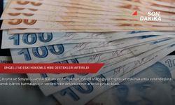 Engelli ve eski hükümlü hibe destekleri artırıldı
