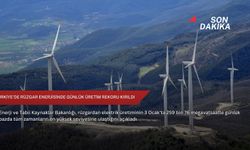 Türkiye'de rüzgar enerjisinde günlük üretim rekoru kırıldı
