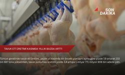 Tavuk eti üretimi kasımda yıllık bazda arttı