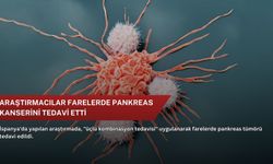 Türkiye'nin ilk yerli ve milli gen tedavisi için tarihi adım