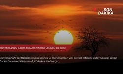 Dünyada 2025, kayıtlardaki en sıcak üçüncü yıl oldu