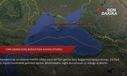 Türk gemisi Kerç Boğazı'nda karaya oturdu