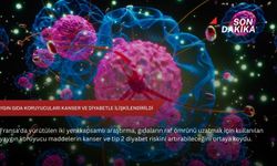 Yaygın gıda koruyucuları kanser ve diyabetle ilişkilendirildi