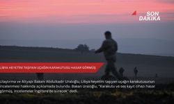 Libya heyetini taşıyan uçağın karakutusu hasar görmüş