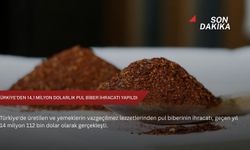 Türkiye'den 14,1 milyon dolarlık pul biber ihracatı yapıldı