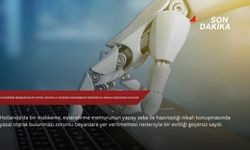 Evlendirme memurunun yapay zekayla yazdığı konuşması nedeniyle nikah geçersiz sayıldı