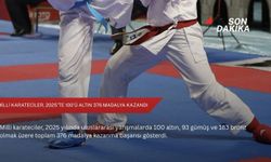Milli karateciler, 2025'te 100'ü altın 376 madalya kazandı