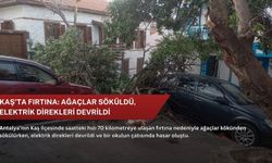 Kaş’ta fırtına: Ağaçlar söküldü, elektrik direkleri devrildi
