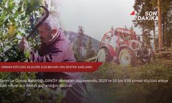 Orman köylüsü ailelere 2,55 milyar lira destek sağlandı