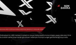 Endonezya'dan, Grok ile üretilen uygunsuz görüntüler nedeniyle X'e yasaklama uyarısı