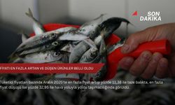 Fiyatı en fazla artan ve düşen ürünler belli oldu