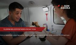 Yıldırım Belediyesi'nden sıcak yuva