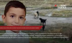 Başıboş sokak köpeklerin saldırdığı Tunahan'ın ailesine 5 milyon lira manevi tazminat