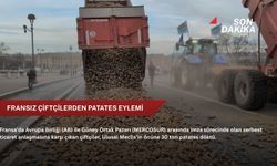 Fransız çiftçilerden patates eylemi