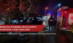 Bursa'da otomobil ağaca çarptı: 2 kişi öldü, 2 kişi yaralandı