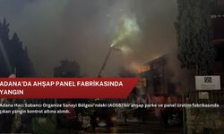 Adana'da ahşap panel fabrikasında yangın