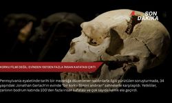 Korku filmi değil: Evinden 100'den fazla insan kafatası çıktı