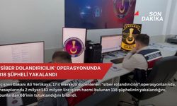 'Siber dolandırıcılık' operasyonunda 118 şüpheli yakalandı