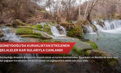 Güneydoğu'da kuraklıktan etkilenen şelaleler kar sularıyla canlandı