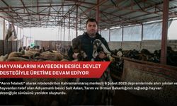 Hayvanlarını kaybeden besici, devlet desteğiyle üretime devam ediyor