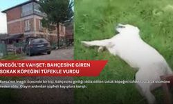 İnegöl’de vahşet: Bahçesine giren sokak köpeğini tüfekle vurdu