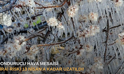 Bursa'da dondurucu hava mesaisi: Zirai don riski 13 Nisan'a kadar uzatıldı!