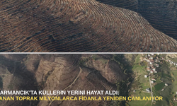 Harmancık'ta küllerin yerini hayat aldı: yanan toprak milyonlarca fidanla yeniden canlanıyor