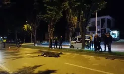 Kaderin Acı Cilvesi: İki Kardeş, İki Motosiklet, Aynı Son!