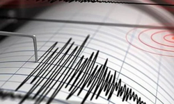 Sarsıntı paniğe neden oldu… 4.9 büyüklüğündeki deprem korkuttu