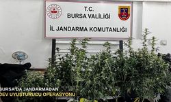 Bursa'da Jandarmadan dev uyuşturucu operasyonu