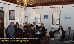 Mudanya'da sahipsiz hayvanlar için toplantı gerçekleştirildi