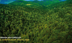 Ormanlara girişler 31 Ekim'e kadar yasaklandı
